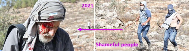 settlers-brutally-attacked-palestinian-farmers