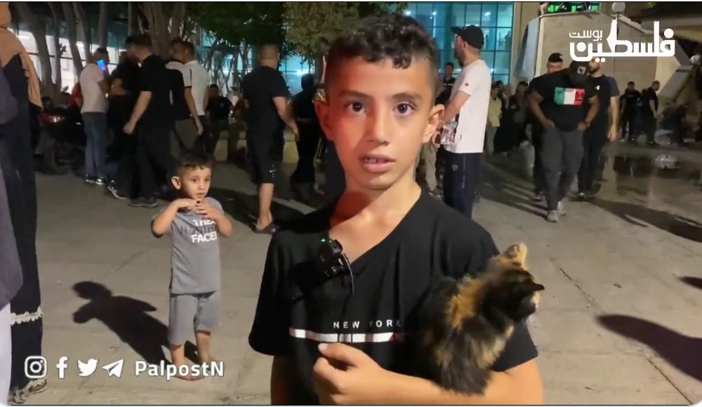 a young boy from Jenin camp brought his cat